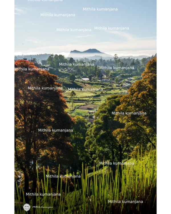 Nuwara Eliya Landscape Vertical Wallpaper