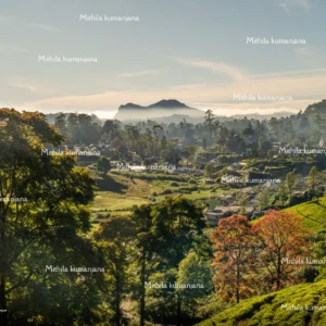 nuwara eliya
