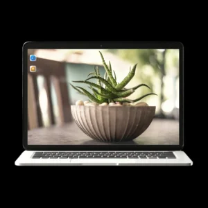 Plant | Wallpapers